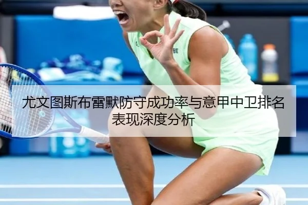 尤文图斯布雷默防守成功率与意甲中卫排名表现深度分析